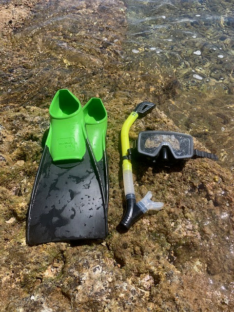 1 Day Snorkel Set
