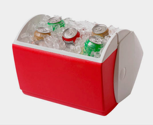 1 Day Cooler