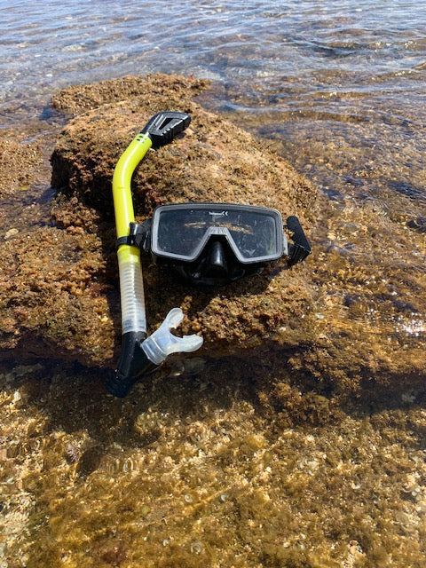 1 Day Snorkel + Mask Only