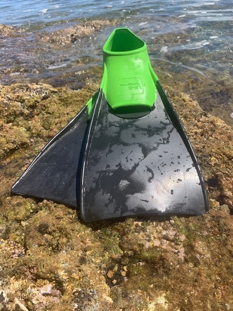 1 Day Fins Only